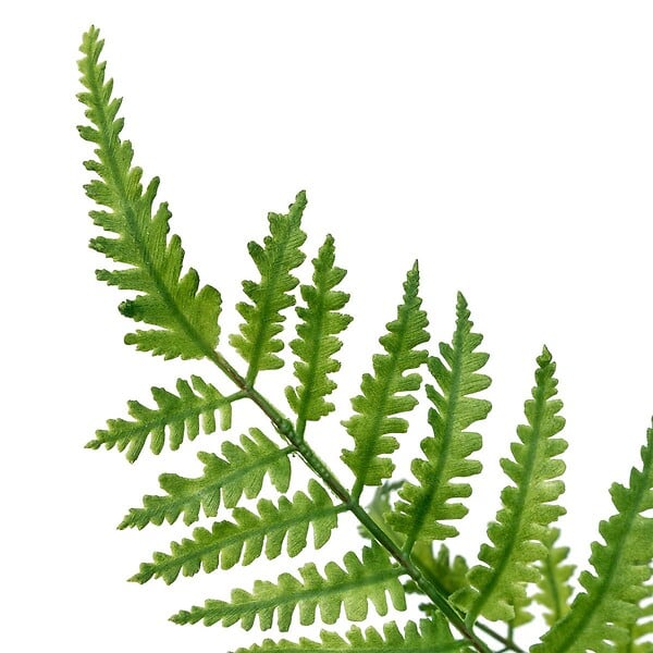ATMOSPHERA - Tige fougère artificielle James vert H90cm - large