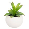 ATMOSPHERA - Plante grasse en pot H13 - vignette