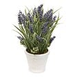 ATMOSPHERA - Composition florale Artificielle Prov Lavande 35 cm Pot en Grès - vignette