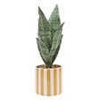 ATMOSPHERA - Plante artificielle en pot Cheri 11,5x11,5cm - vignette