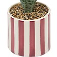 ATMOSPHERA - Plante artificielle en pot Cheri 11,5x11,5cm - vignette