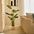 ATMOSPHERA - Bananier Artificielle Lora H140 cm avec Pot Blanc - vignette