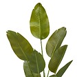 ATMOSPHERA - Bananier Artificielle Lora H140 cm avec Pot Blanc - vignette