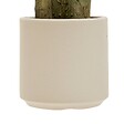 ATMOSPHERA - Bananier Artificielle Lora H140 cm avec Pot Blanc - vignette