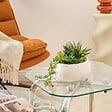 ATMOSPHERA - Plante artificielle en pot Jesy 21x18cm - vignette