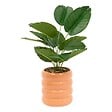 ATMOSPHERA - Plante artificielle Pool H45cm - vignette