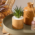 ATMOSPHERA - Plante artificielle "Sao" marron H17cm - vignette