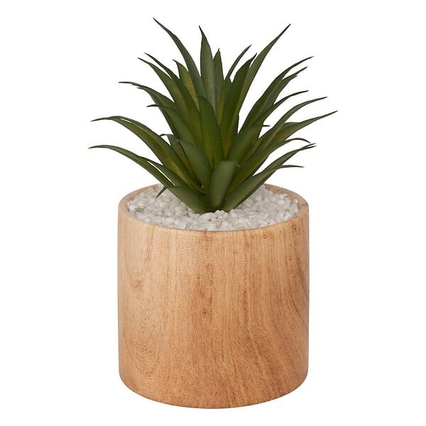 ATMOSPHERA - Plante artificielle "Sao" marron H17cm - large