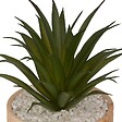 ATMOSPHERA - Plante artificielle "Sao" marron H17cm - vignette