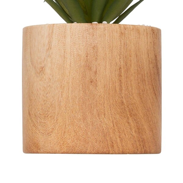 ATMOSPHERA - Plante artificielle "Sao" marron H17cm - large