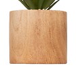 ATMOSPHERA - Plante artificielle "Sao" marron H17cm - vignette