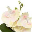 ATMOSPHERA - Fleur Artificielle Mick Orchidée H 23 cm - vignette