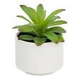 ATMOSPHERA - Plante grasse artificielle - pot en céramique - H13 cm - Blanc - vignette
