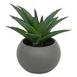 ATMOSPHERA - Plante grasse artificielle - pot en céramique - H13 cm - Blanc - vignette