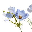 ATMOSPHERA - Fleur artificielle Phoebe Coreopsis H88 cm - vignette