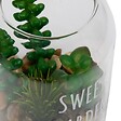 ATMOSPHERA - Terrarium Ady H12,5cm vert - vignette
