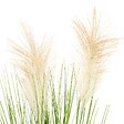 ATMOSPHERA - Plante artificielle "Plumeau" - pot en ciment - H70 cm - Beige - vignette