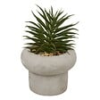 ATMOSPHERA - Plante artificielle en pot Stefi 9x9cm - vignette