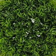ATMOSPHERA - Boule de buis artificiel "Carly" vert D18cm - vignette