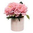 ATMOSPHERA - Composition florale artificielle pivoines H21,5 cm - vignette