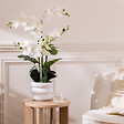 ATMOSPHERA - Orchidée artificielle en pot "Mick" pot en céramique blanc H80cm - vignette