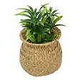 ATMOSPHERA - Plante artificielle en pot Jil 10x10cm - vignette