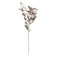 ATMOSPHERA - Tige d'eucalyptus artificielle James vert H103cm - vignette