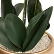ATMOSPHERA - Fleurs articielles en pot Sanae H65cm - vignette