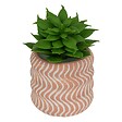 ATMOSPHERA - Plante artificielle petit format "Ubi" H7cm - vignette