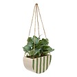 ATMOSPHERA - Plante artificelle suspendue Cheri 21x10cm - vignette