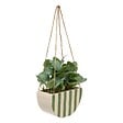 ATMOSPHERA - Plante artificelle suspendue Cheri 21x10cm - vignette