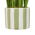 ATMOSPHERA - Plante artificielle Daura 47 cm - vignette