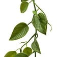 ATMOSPHERA - Guirlande plante artificielle Bellan L15xP15xH180 cm Vert - vignette