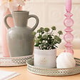 ATMOSPHERA - Plante artificielle en pot "Tayli" H18cm - vignette
