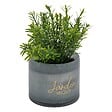 ATMOSPHERA - Plante artificielle en pot "Tayli" H18cm - vignette