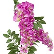 ATMOSPHERA - Guirlande Glycine Artificielle Phoebe L20xP10xH178 cm - vignette