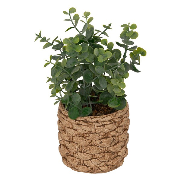 ATMOSPHERA - Eucalyptus artificiel en pot "Jaye" H27cm - large