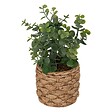 ATMOSPHERA - Eucalyptus artificiel en pot "Jaye" H27cm - vignette