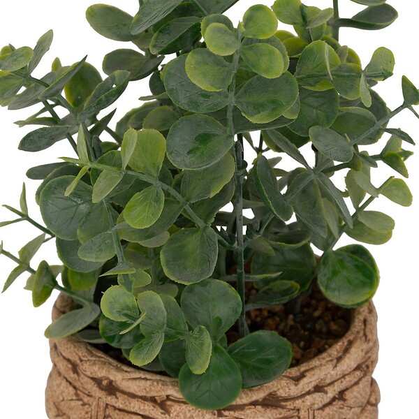 ATMOSPHERA - Eucalyptus artificiel en pot "Jaye" H27cm - large
