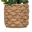 ATMOSPHERA - Eucalyptus artificiel en pot "Jaye" H27cm - vignette