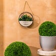 ATMOSPHERA - Plante artificielle suspendue "Krist" D20cm - vignette