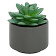 ATMOSPHERA - Plante grasse en pot H13 - vignette