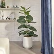ATMOSPHERA - Ficus artificiel en pot Sky H145cm - vignette