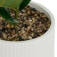 ATMOSPHERA - Ficus artificiel en pot Sky H145cm - vignette