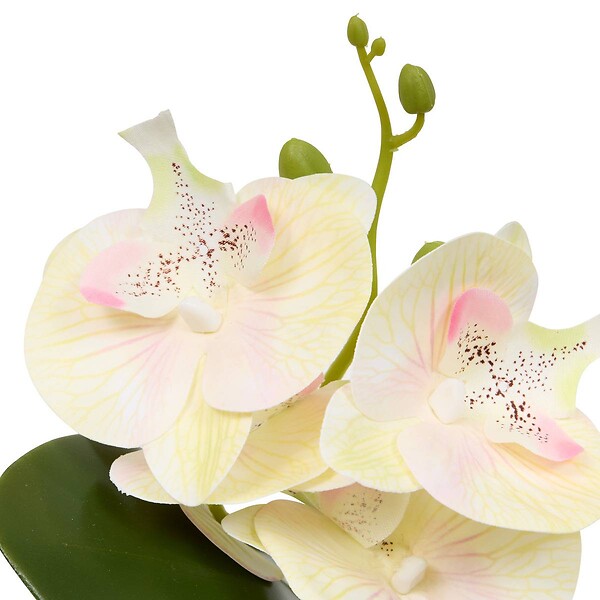 ATMOSPHERA - Fleur Artificielle Mick Orchidée H 23 cm - large