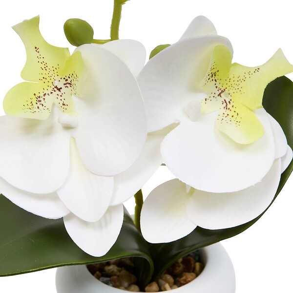 ATMOSPHERA - Fleur Artificielle Mick Orchidée H 23 cm - large