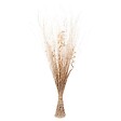 ATMOSPHERA - Fagot de fleurs séchées - blanc H100 cm - Multicolore - vignette
