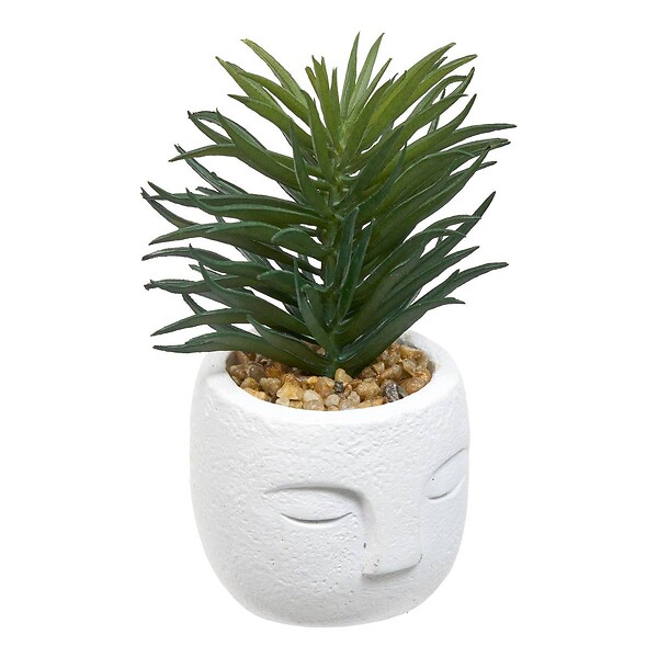 ATMOSPHERA - Plante artificielle Teri 9 cm avec Pot visage - large