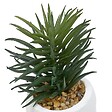 ATMOSPHERA - Plante artificielle Teri 9 cm avec Pot visage - vignette