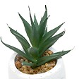 ATMOSPHERA - Plante artificielle Teri 9 cm avec Pot visage - vignette